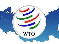 ЕС оспаривает российские экспортные ограничения на древесину в ВТО