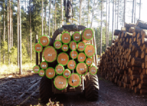 Государственное лесное предприятие Литвы внедряет новые методы измерения древесины