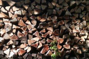 Большинство сделок с древесиной промышленных лиственных пород заключены по цене до 75 евро за сухую тонну