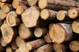 Австрия: цены на круглые лесоматериалы стабилизировались