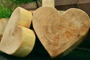 Дальний Восток на 25% увеличил объем деревопереработки, но сократил экспорт древесины