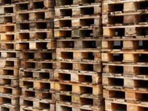 Война на Украине окажет значительное давление на цепочку поставок древесины в Европу