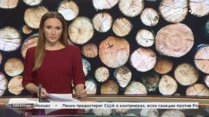 Из-за дефицита древесины в Эстонии задумались об увеличении объемов вырубки