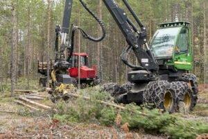 Нападение России на Украину сделало уход за молодыми лесами ключевым фактором энергоснабжения