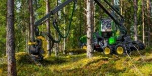 Цены на дизельное топливо: повышенный риск для лесозаготовителей
