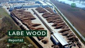Репортаж с одного из самых современных лесопильных заводов в Центральной Европе
