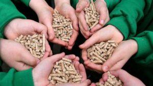 Комитет по окружающей среде парламента ЕС призывает сократить сжигание биомассы