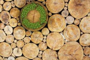 Разработка устойчивого деревянного строительства в Европе
