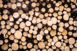 Эстония: цены на круглый лес остаются стабильными на низком уровне