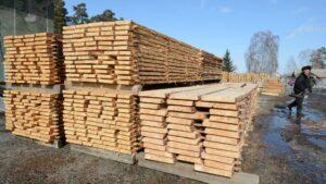 Казахстан ввёл эмбарго на экспорт лесоматериалов