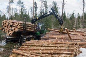Австрия: заготовка леса увеличилась почти на 10%
