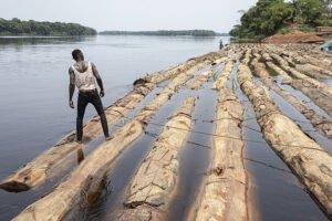 Плот за плотом, тропический лес теряет свои деревья