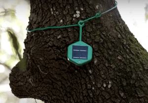 В Италии развернуты умные датчики для предотвращения лесных пожаров