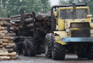 Жители Нидерландов начали запасаться дровами из-за роста цен на газ