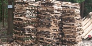 Германия: государственные субсидии на переход к дровяному отоплению уменьшены